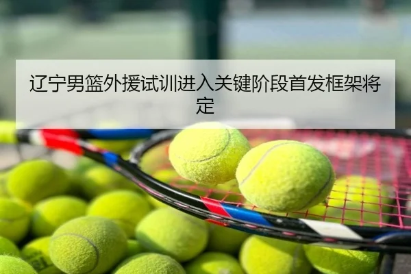 辽宁男篮外援试训进入关键阶段首发框架将定